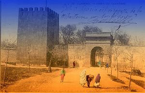 Tlemcen 176- Collection Montaner